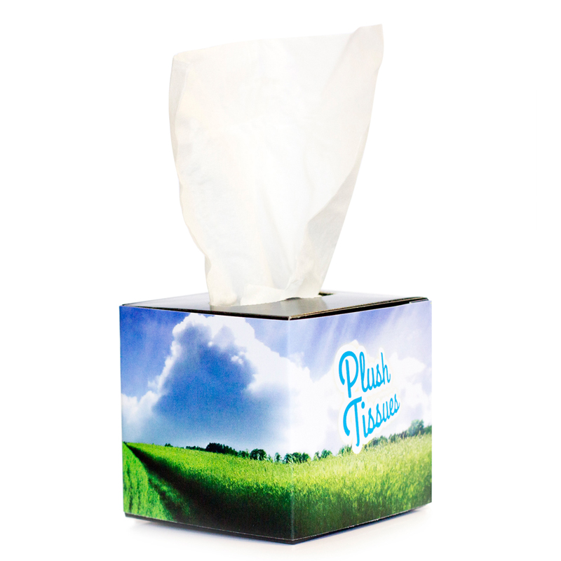 Mini Tissue Box